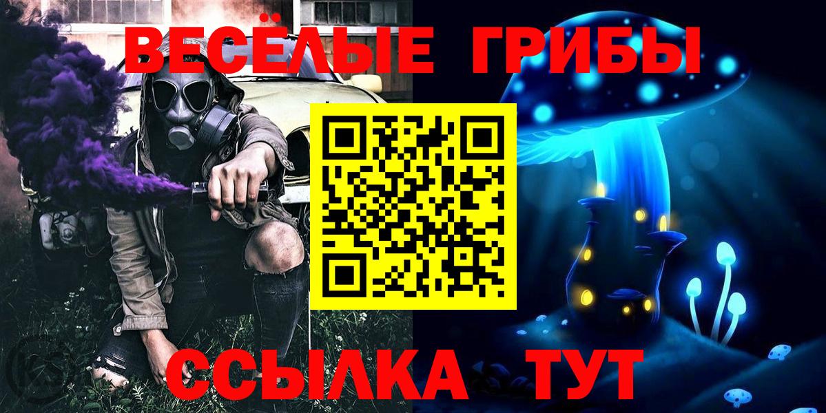 даркнет сайт  Вход с VPN  Махачкала  Галлюциногенные грибы мицелий 