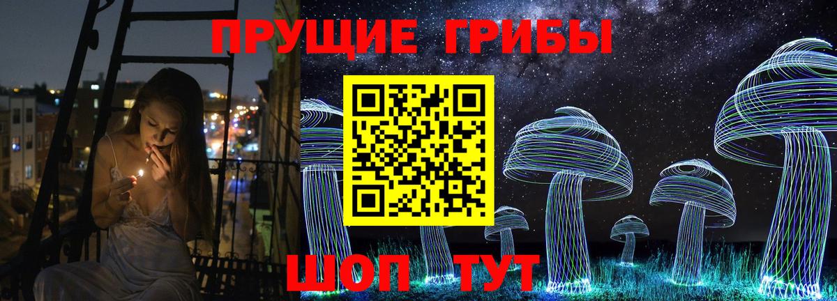 Галлюциногенные грибы Psilocybine cubensis Махачкала